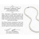 THE PEARL SOURCE 14K Gold AAA Quality Round White Freshwater Cultured Pearl Stud Earrings for Women