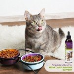UroMAXX Urinary Tract, Kidney & Bladder Formula for Cats and Dogs, 6 oz Bottle