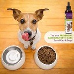 UroMAXX Urinary Tract, Kidney & Bladder Formula for Cats and Dogs, 6 oz Bottle