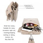 Women Small Crossbody Bag, seOSTO Tassel Cell Phone Purse Wallet Bags