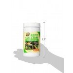 Zoo Med Reptile Calcium