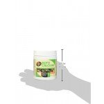 Zoo Med Reptile Calcium