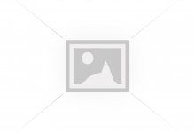 Libido Support & Supplements