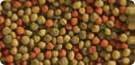 Tetra-Blood-Worms-Freeze-Dried-Treat-16194