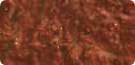 Tetra-Blood-Worms-Freeze-Dried-Treat-16194