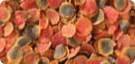 Tetra-Blood-Worms-Freeze-Dried-Treat-16194