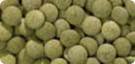 Tetra-Blood-Worms-Freeze-Dried-Treat-16194