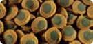Tetra-Blood-Worms-Freeze-Dried-Treat-16194